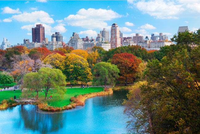 Fotomurales central park new york